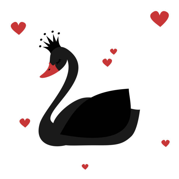 ilustrações de stock, clip art, desenhos animados e ícones de cute lovely princess black swan on white background vector illustration - swan princess cartoon crown
