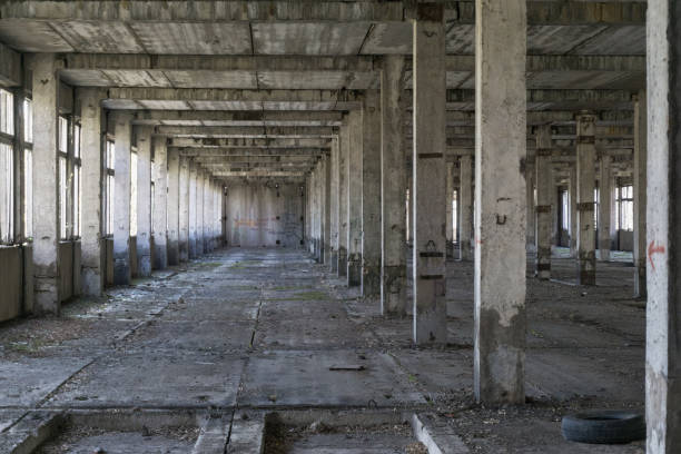 istock Fragment of abandoned plant 948420528