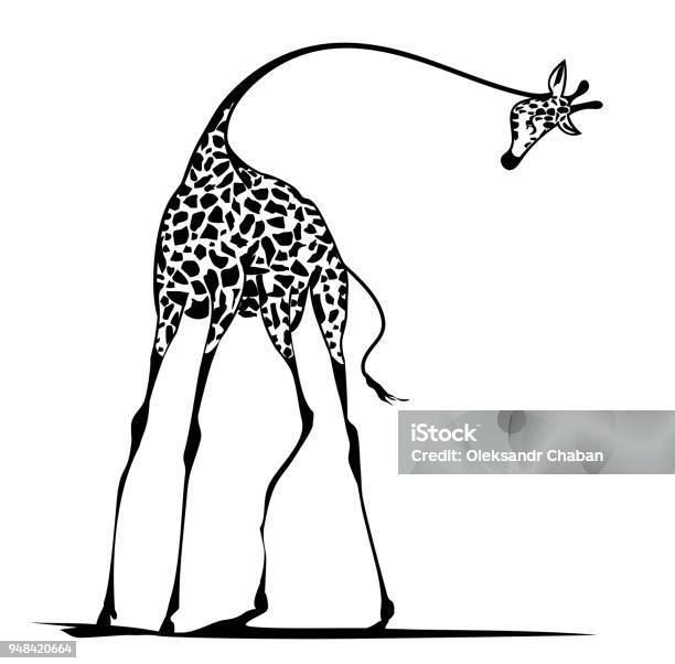 Gracieuse Girafe Vecteurs libres de droits et plus d'images vectorielles de Girafe - Girafe, Grâce, Tête d'un animal