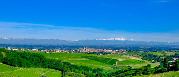 istock Vineyards in the Monferrato, a hilly area mostly based on vine cultivation. Province of Alessandria, Piedmont, Italy 948423892