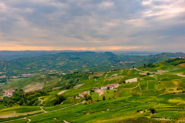 istock Vineyards in the Langhe, a hilly area mostly based on vine cultivation and well known for the production of Barolo wine. Province of Cuneo, Piedmont, Italy 948425352