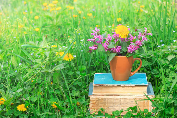 istock ceramic Cup with flowering plants on a stack of old books in a clearing with a green clover on a warm spring or summer morning 948426302