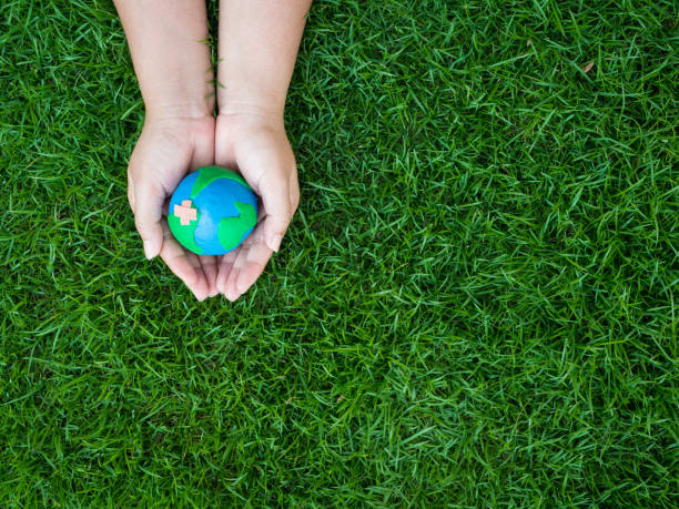 istock earth in hands and green grass field background. environment save earth concept. 948429758