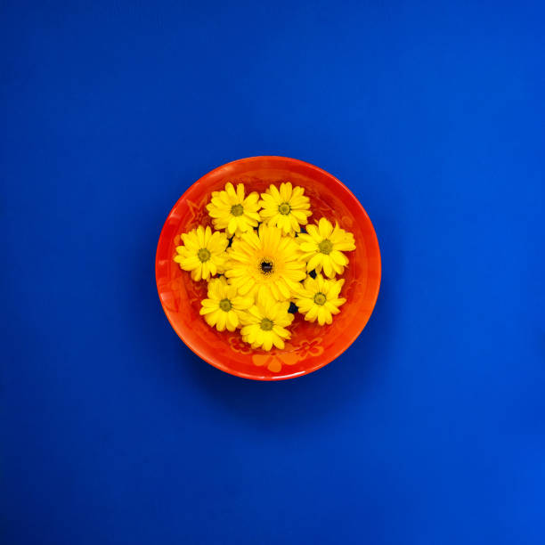 istock Red dish with yellow gerbera and chrysanthemum flowers on blue 948443444