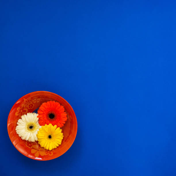 istock Summer background - a red dish with colorful gerbera flowers on blue 948443462