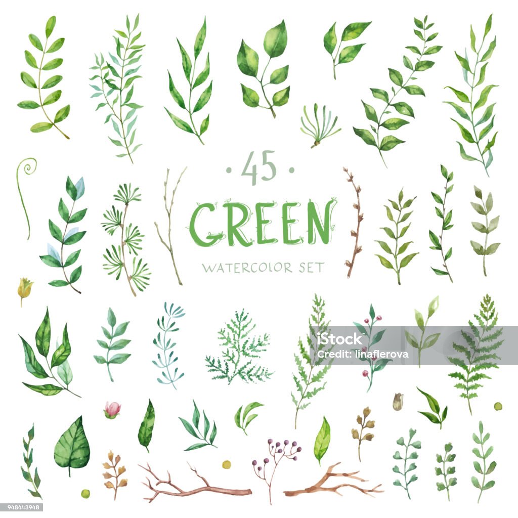 Vector Set watercolor elements. Collection garden and branches. Illustration isolated on white background. Vector Big Set watercolor elements - herbs and leaf. Collection garden, wild foliage, flowers and branches. Illustration isolated on white background. Green. Watercolor Painting stock vector