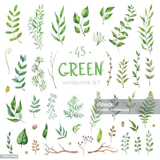 Vector Set Watercolor Elements Collection Garden And Branches Illustration Isolated On White Background Stock Illustration - Download Image Now