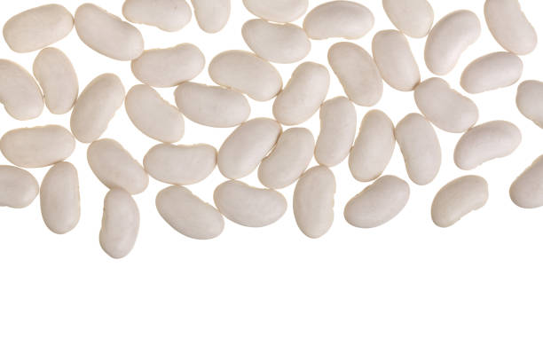 istock White kidney beans isolated on white background with copy space for your text. Top view 948447738