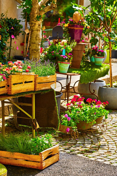 istock Decorative plants bushes trees and flowers 948454610