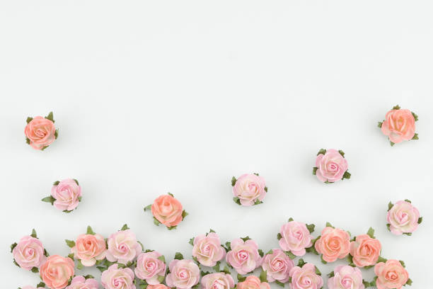 istock Pink and orange paper flowers on white background with copy space 948460362