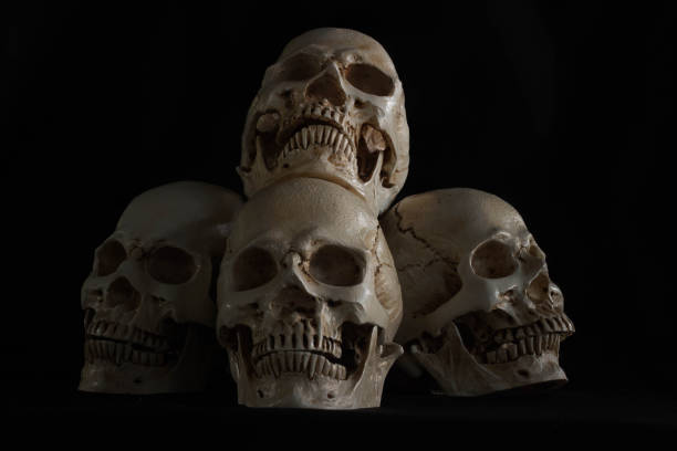 istock An impressive skull and bones on the background of black fabric, left life style. 948460656