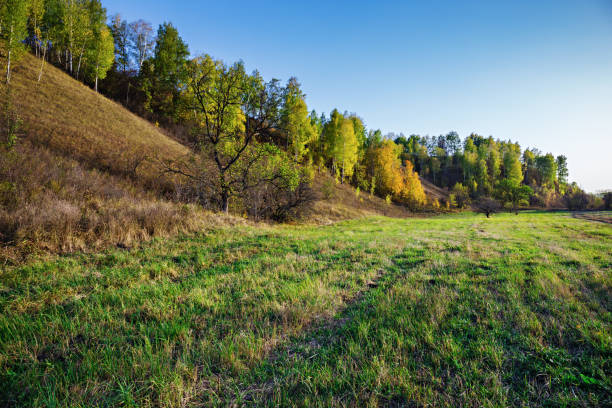 istock A dirt road in the countryside 948460658