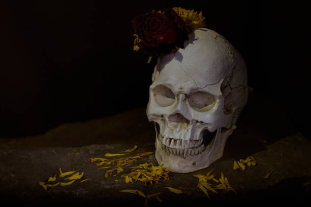 istock Skull and flower in black background 948460692