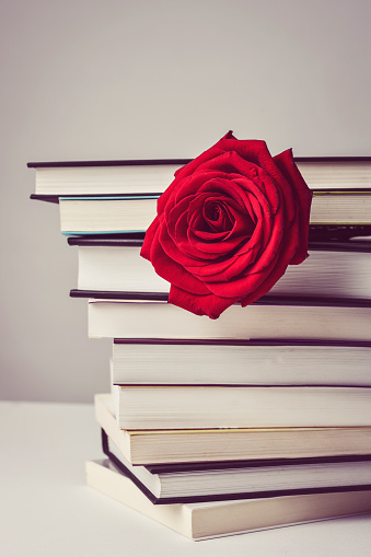 closeup of a red rose on a pile of books for Sant Jordi, the Catalan name for Saint George Day, when it is tradition to give red roses and books in Catalonia, Spain