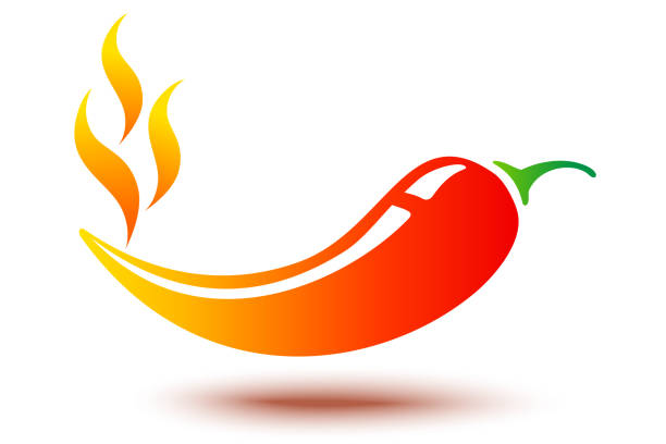 chilli pepper with flame vector art illustration