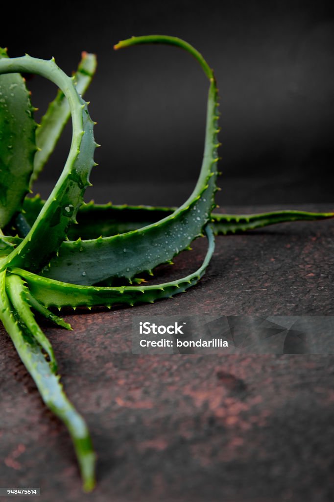 Aloe vera sobre fondo marrón. - Foto de stock de Agua libre de derechos