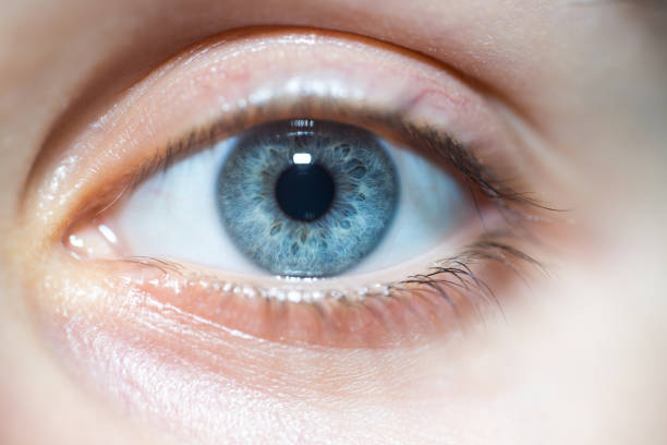 Close-Up Of Beautiful Blue Woman Eye Looking At Camera stock photo