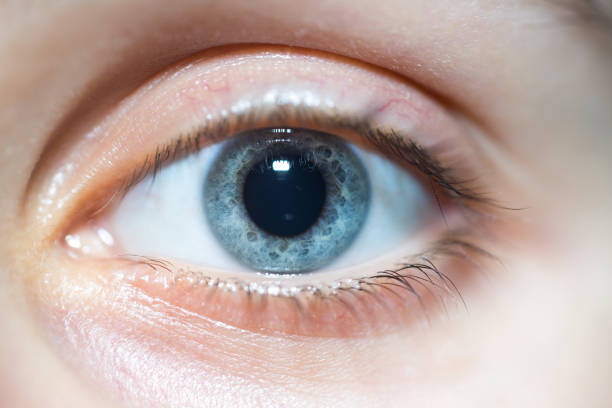 Close-Up Of Beautiful Blue Woman Eye Looking At Camera With Dilated Pupil stock photo