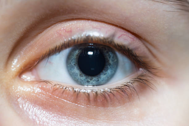 Close-Up Of Beautiful Blue Woman Eye Looking At Camera With Dilated Pupil stock photo