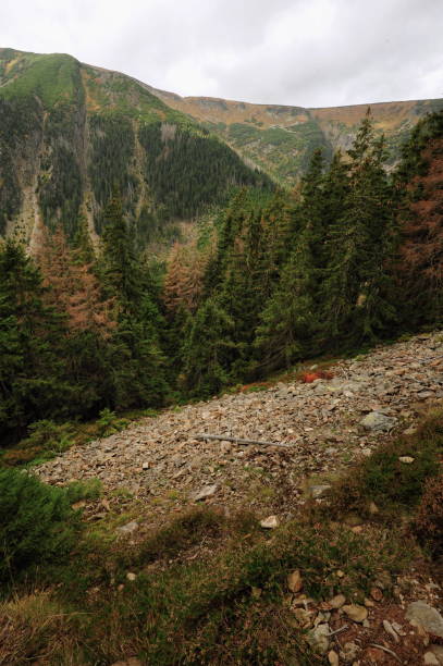 istock View of the rocky landscape 948475898