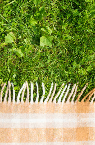 istock Green grass and checkered beige tablecloth horizontal background for picnic, top view 948481550