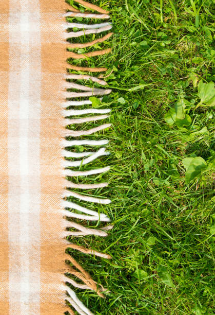 istock Green grass and checkered beige tablecloth pedimental background for picnic, top view 948481564