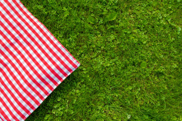 istock Green grass and checkered tablecloth background for picnic, top view 948481570