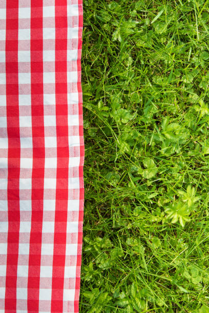 istock Green grass and red checkered tablecloth background for picnic 948481612