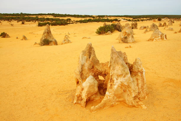 istock The Pinnacles Desert, Australia 948481770