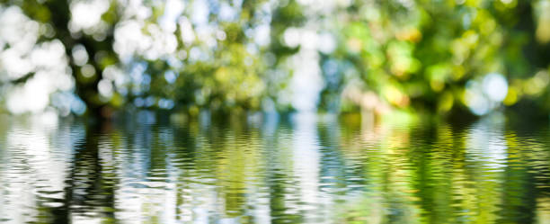 istock image of grass and river closeup 948490408
