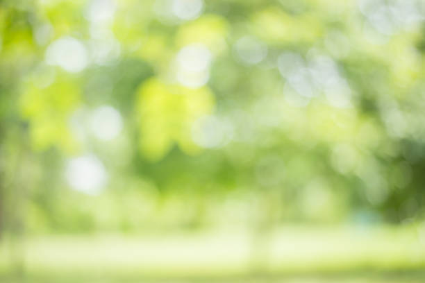istock abstract blur green color for background , blurred and defocused effect spring concept for design 948491110
