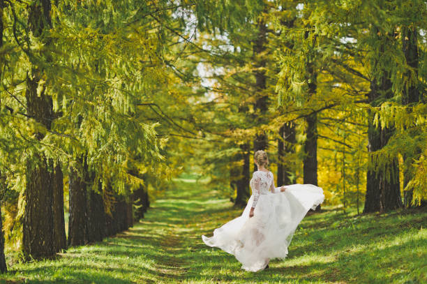istock Happy bride in a gorgeous Board to dance 338. 948491560