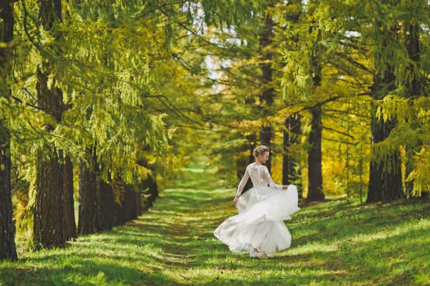 istock Happy bride in a gorgeous Board to dance 339. 948491634