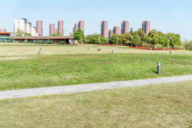 istock The path in the city park. 948492518