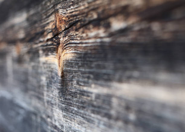 old wood