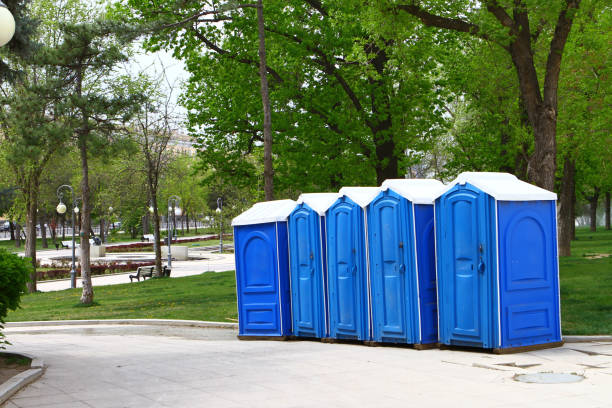 istock blue mobile toilets one park road, trees on the background 948498118