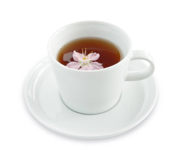 흰색 바탕에 체리 꽃과 차 한잔 - green tea cherry blossom china cup 뉴스 사진 이미지
