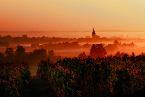 sunset over the vineyards in the loire valley