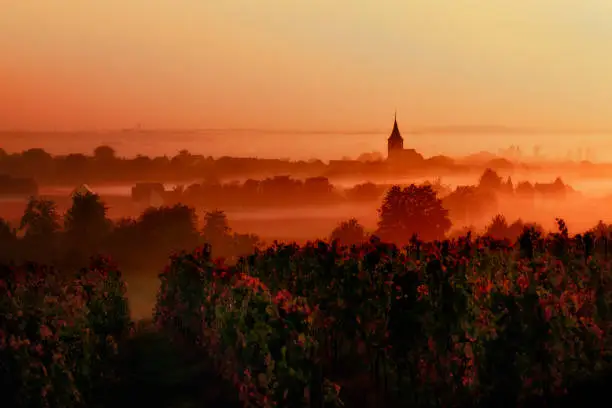 sunset over the vineyards in the loire valley