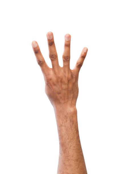 istock Black hand showing number four isolated 948499798