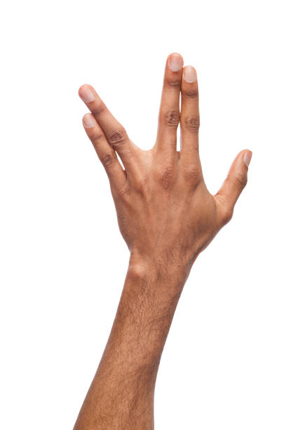istock Black man hand gesturing in the form of crocodile 948499908