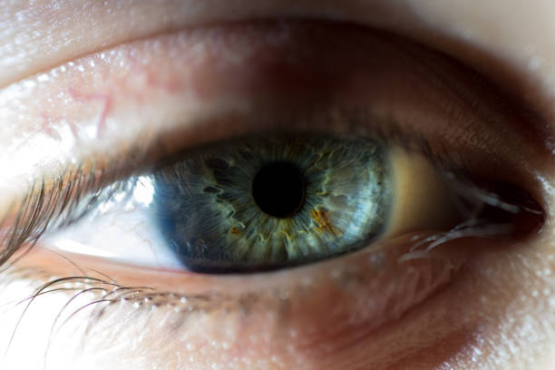 istock Extreme Close-Up Of Blue Female Eye Iris 948506892