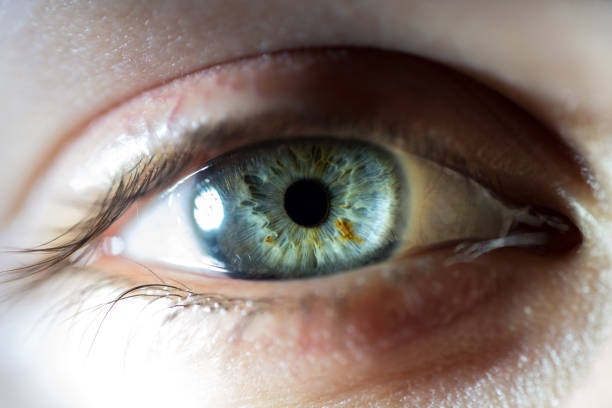 istock Extreme Close-Up Of Blue Female Eye Iris 948506902