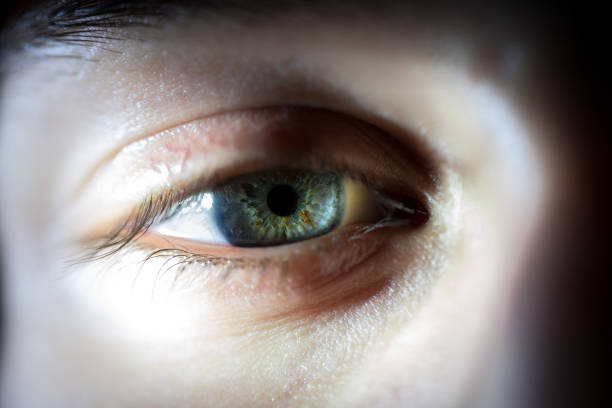 istock Detailed Macro Of Blue Female Eye Iris 948506920