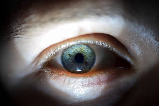 istock Detailed Macro Of Blue Female Eye Iris 948506968