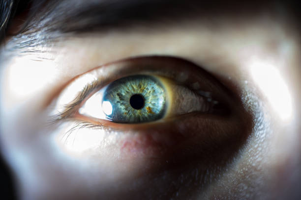 istock Detailed Macro Of Blue Female Eye Iris 948506986