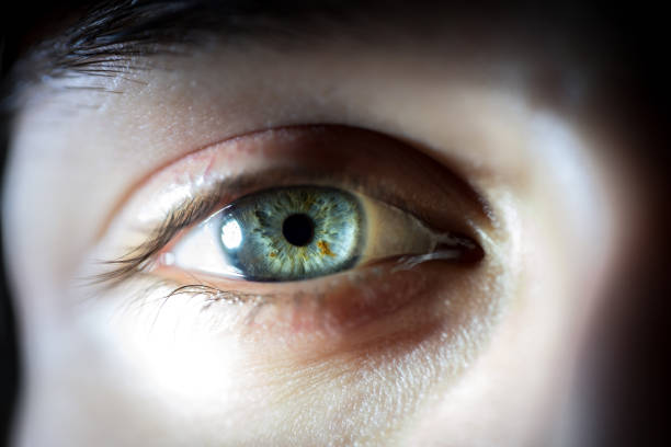 istock Detailed Macro Of Blue Female Eye Iris 948507002