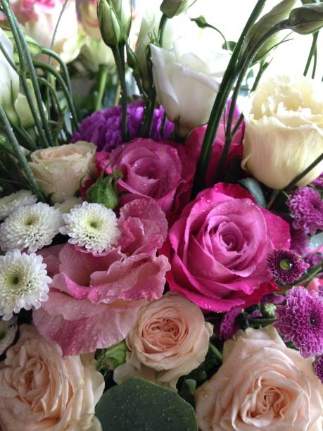 istock close-up background texture of beautiful flowers 948507122