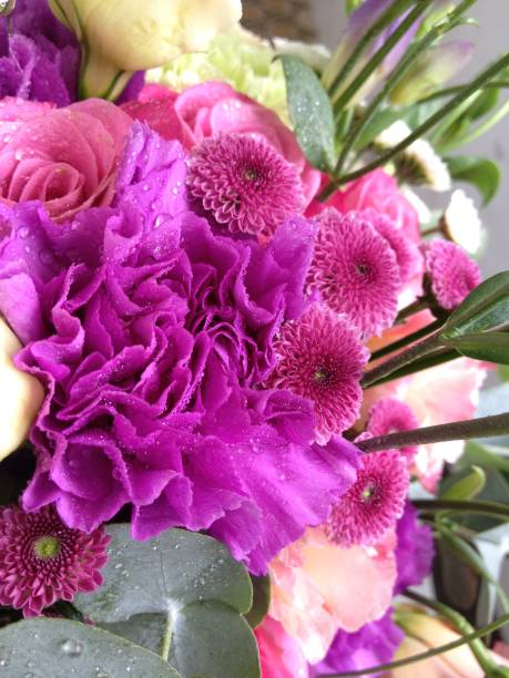 istock close-up background texture of beautiful flowers 948507166