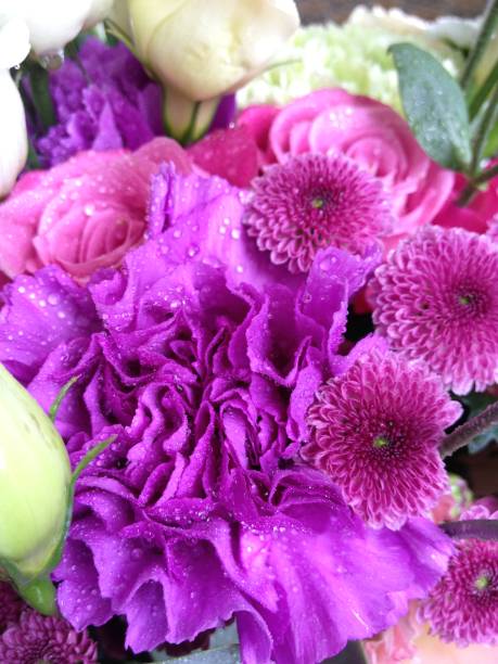 istock close-up background texture of beautiful flowers 948507174